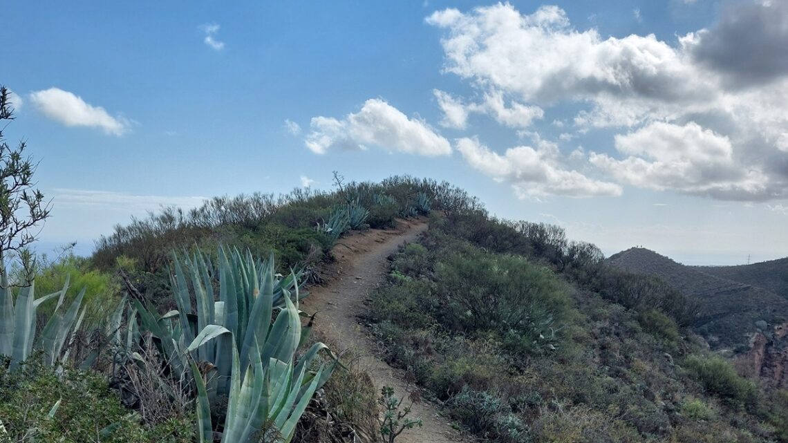 Bergpfad auf Gran Canaria als Symbol für Entscheidungen treffen