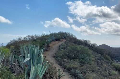 Bergpfad auf Gran Canaria als Symbol für Entscheidungen treffen
