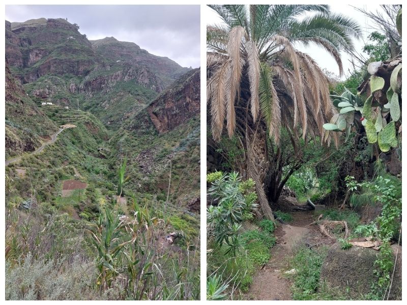 Landschaften: Wanderung auf Gran Canaria