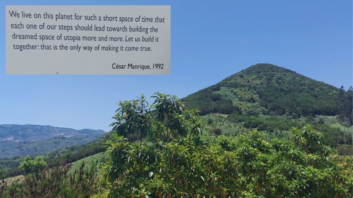 Symbolbild mit Natur auf Gran Canaria und Zitat von César Manrique zum Thema 1-Jahres-Rückblick