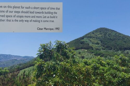 Symbolbild mit Natur auf Gran Canaria und Zitat von César Manrique zum Thema 1-Jahres-Rückblick