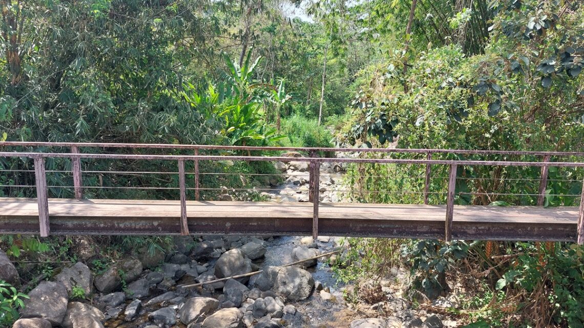 Holzrücke über einen kleinen Fluss im Dschungel in Costa Rica als Symbolbild für Losgehen mit Mut und trotz Angst