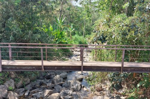 Holzrücke über einen kleinen Fluss im Dschungel in Costa Rica als Symbolbild für Losgehen mit Mut und trotz Angst